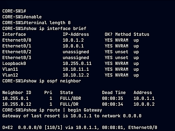 A browser console on a core switch showing interface, OSPF neighbor and routing output.